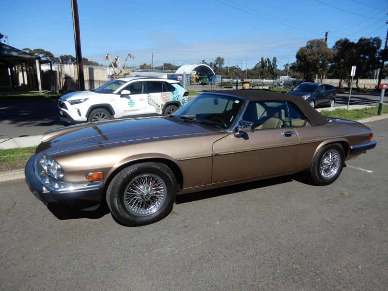Lot 37